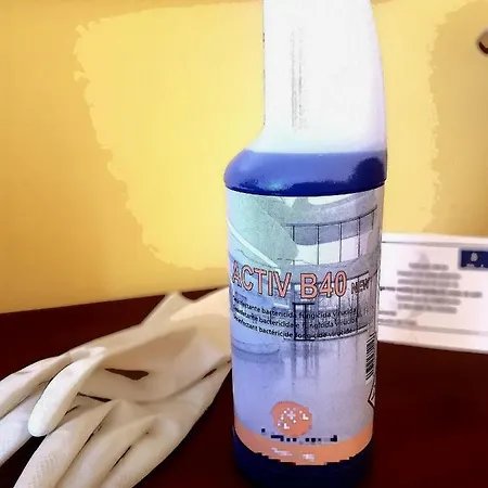 Ξενοδοχείο Virginia R.h. Vinuesa