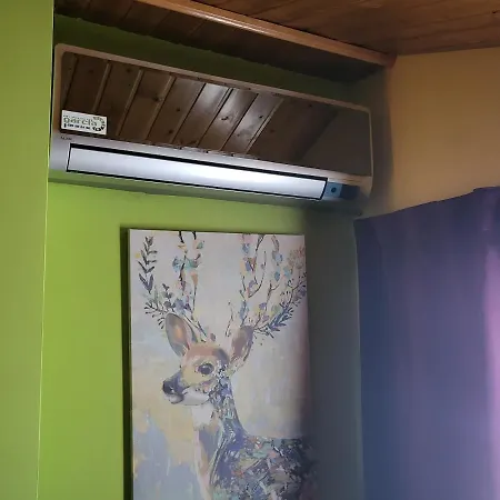 Virginia R.h. Vinuesa