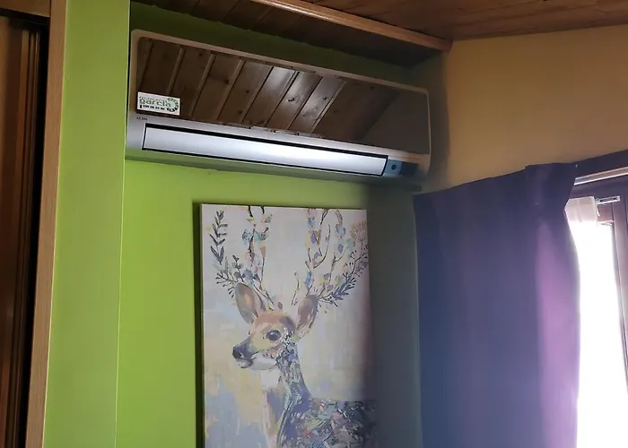 Virginia R.h. Vinuesa